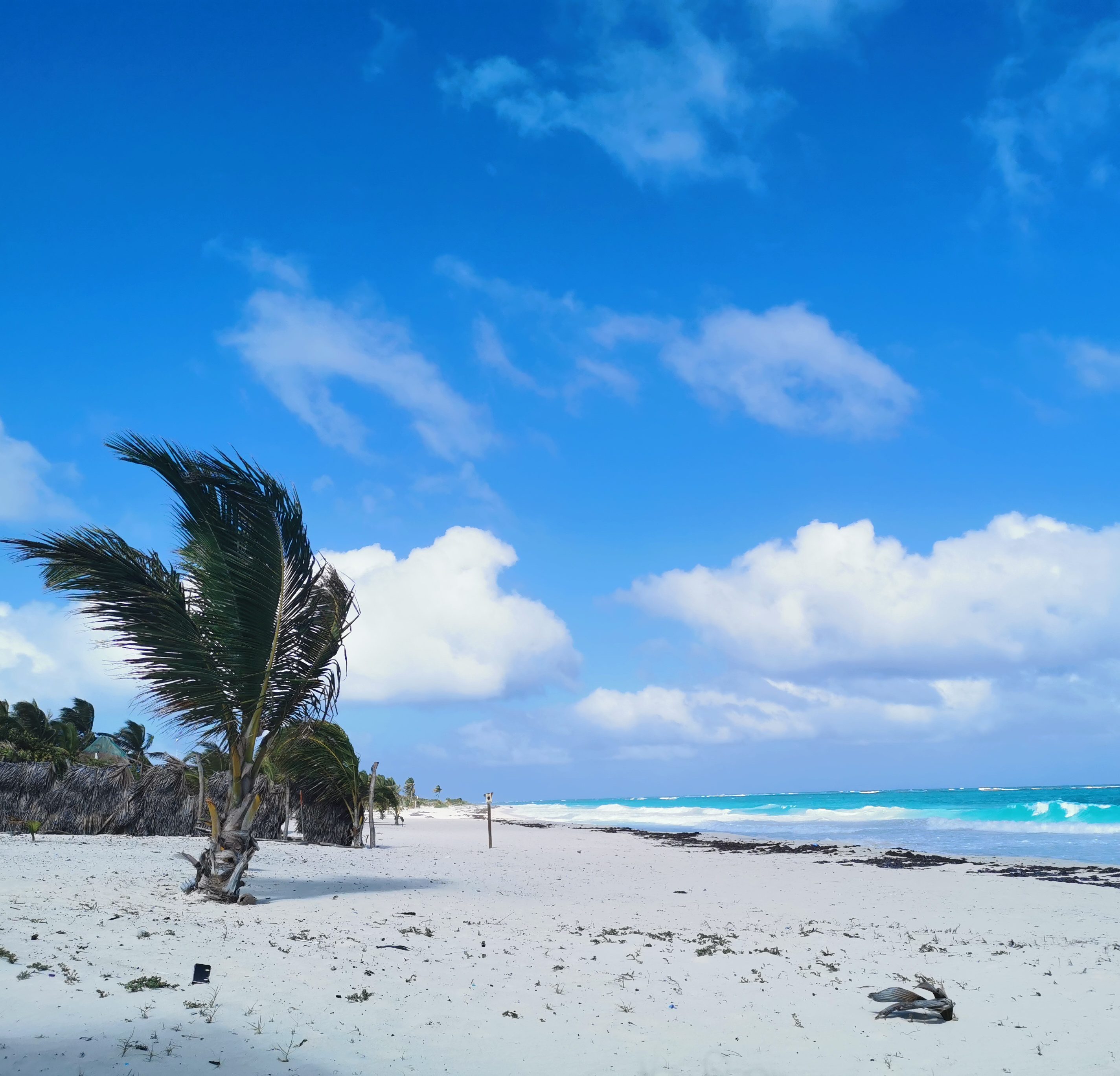 easy-the-gypsy bunt um die Welt